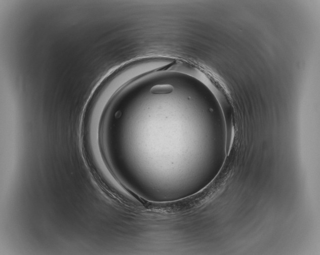 X0000116340580200912091111