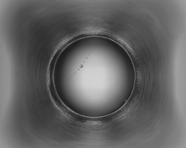 X0000116340582200912091111