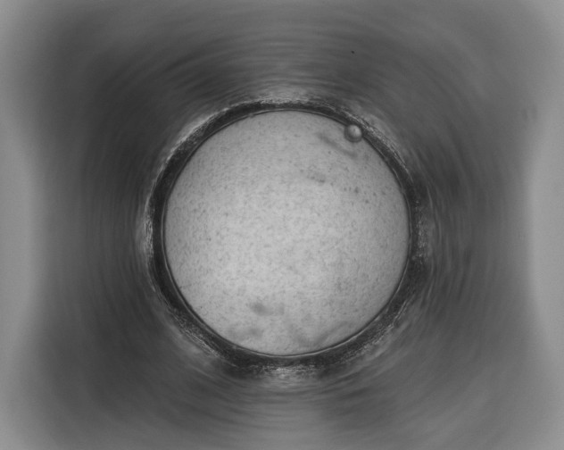 X0000116340584200912091111