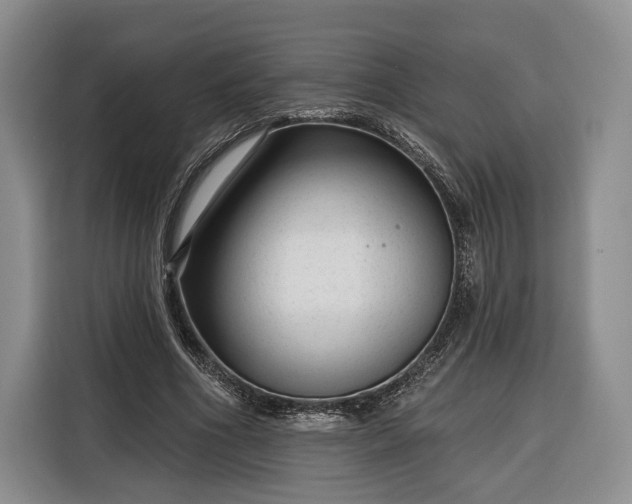 X0000116340586200912091111