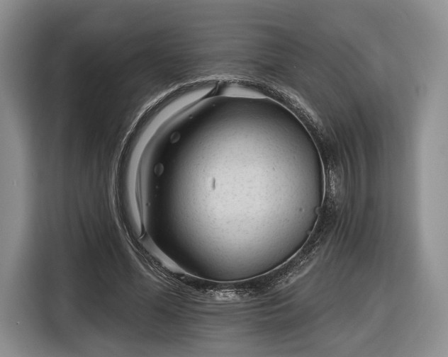 X0000116340588200912091111