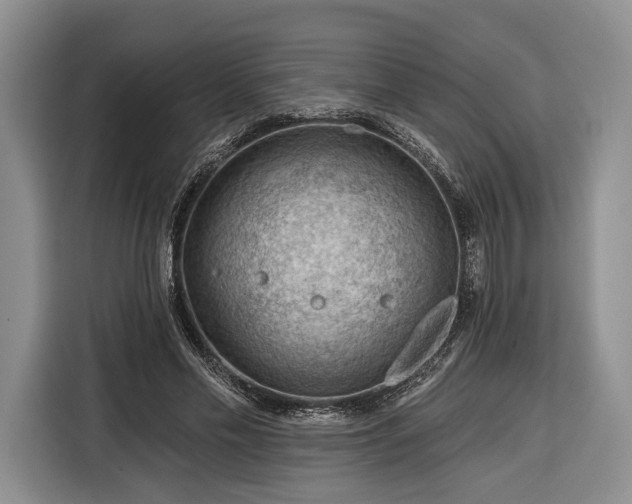 X0000116340589200912091111