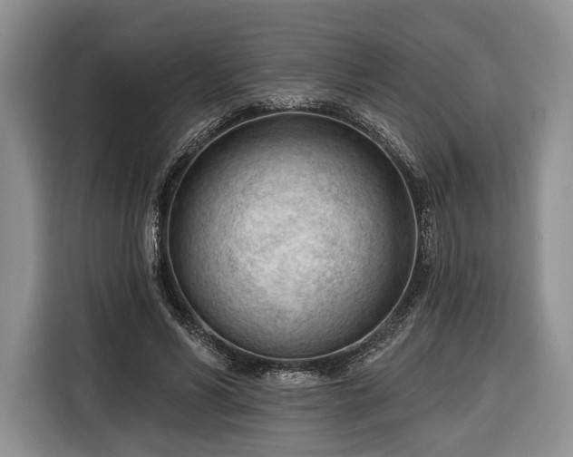 X0000116340590200912091111