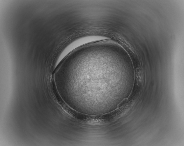 X0000116340593200912091111