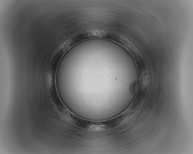 X0000116340595200912091111