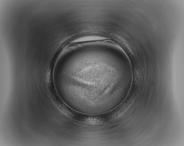 X0000116340596200912091111