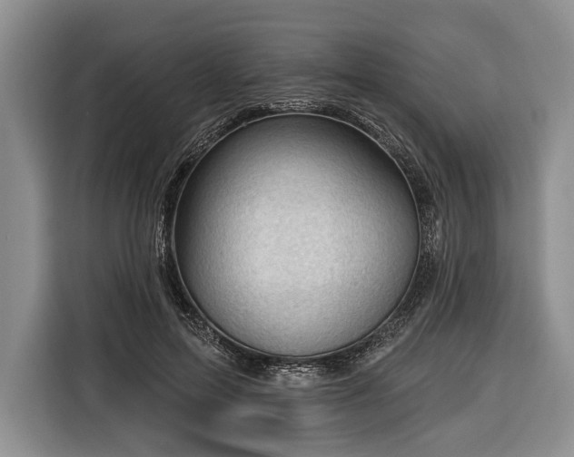 X0000116340599200912091111