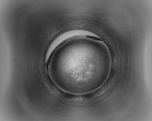 X0000116340600200912091111