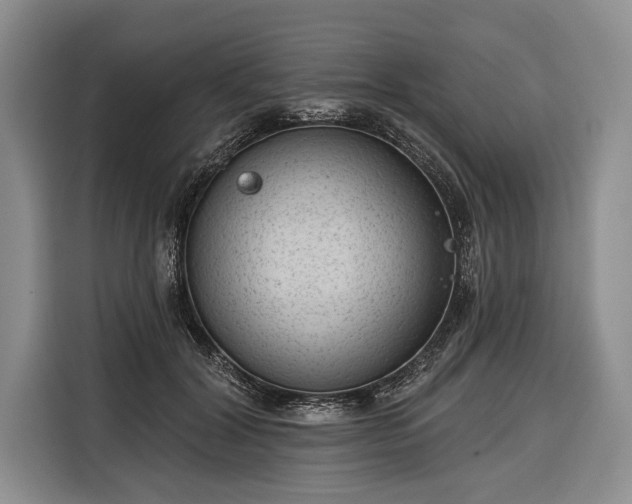 X0000116340604200912091111