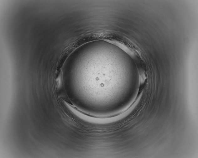 X0000116340605200912091111