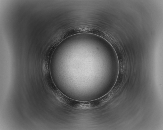 X0000116340606200912091111