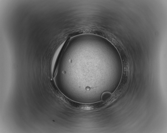 X0000116340610200912091111