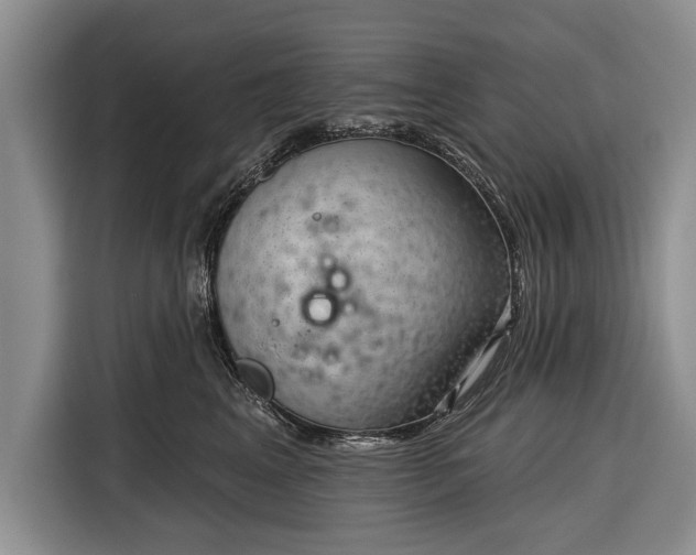 X0000116340617200912091111