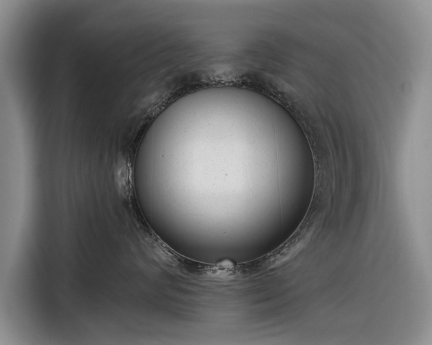 X0000116340624200912091111