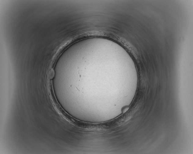 X0000116340625200912091110