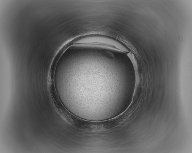 X0000116340628200912091110