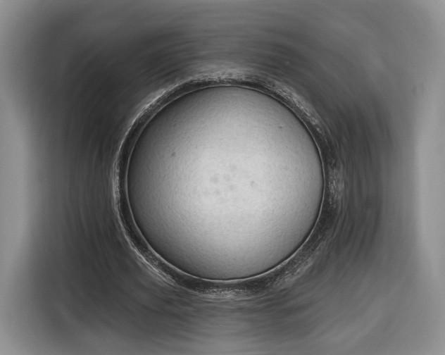 X0000116340629200912091110