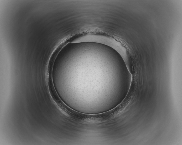 X0000116340630200912091110