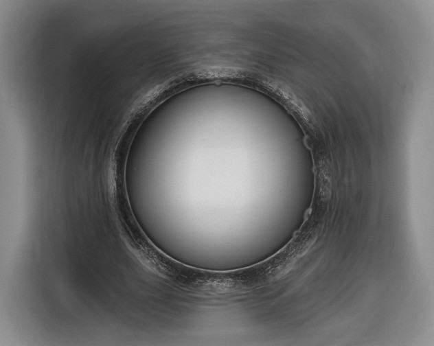 X0000116340631200912091110