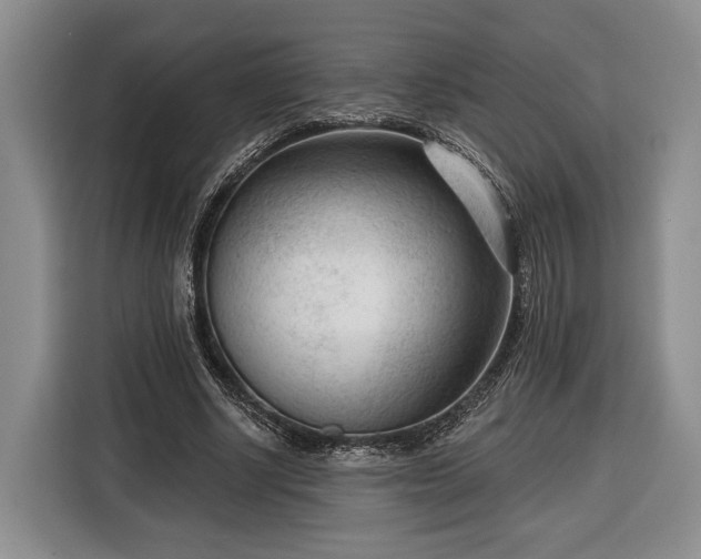 X0000116340634200912091110