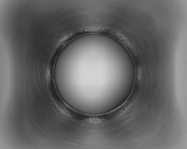 X0000116340636200912091110