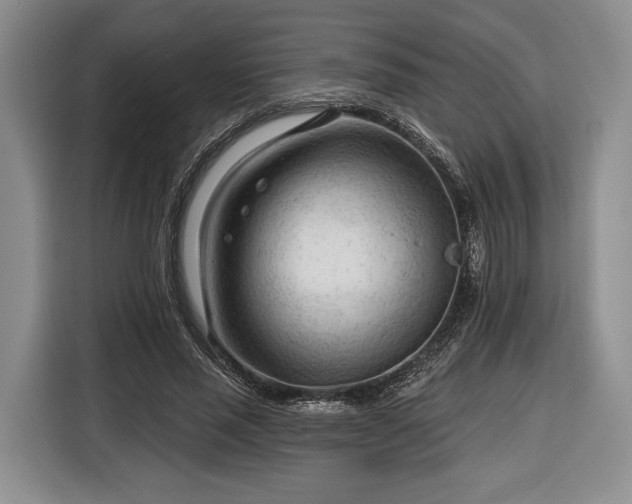 X0000116340637200912091110