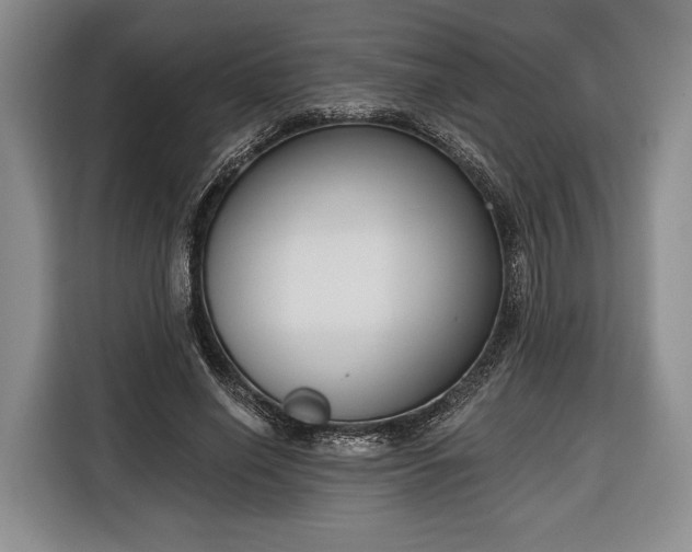 X0000116340638200912091110