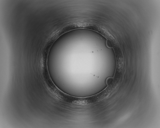 X0000116340639200912091110