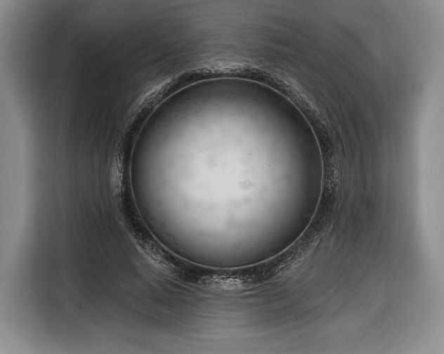 X0000116340640200912091110