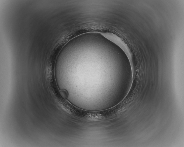 X0000116340642200912091110