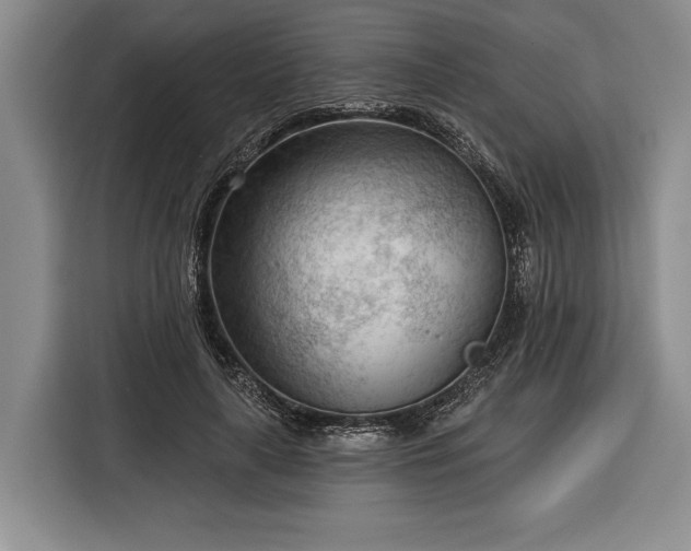 X0000116340643200912091110