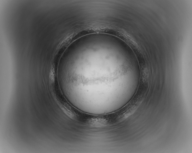 X0000116340644200912091110