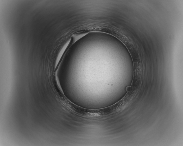 X0000116340649200912091110