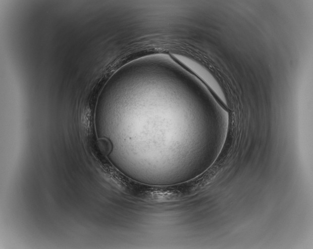 X0000116340650200912091110