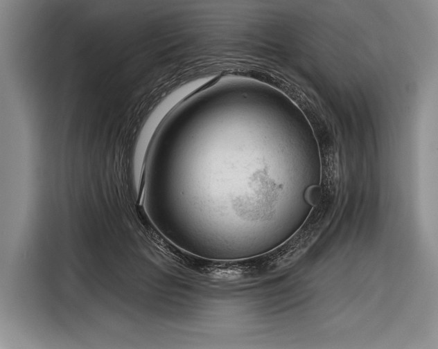 X0000116340653200912091110