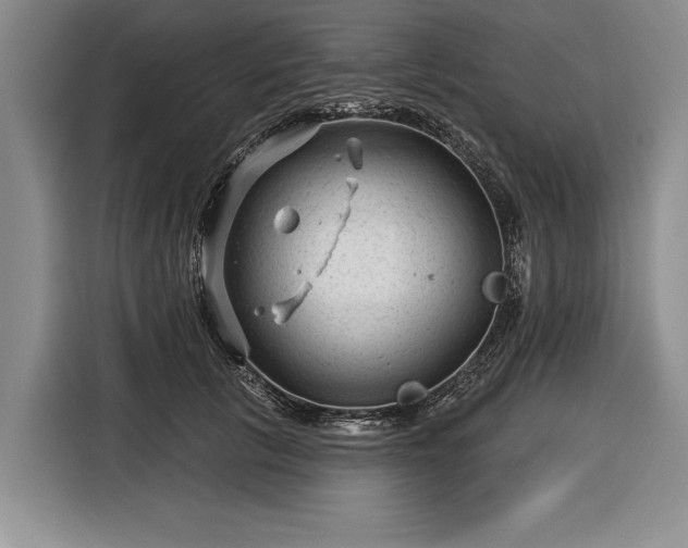 X0000116340657200912091110