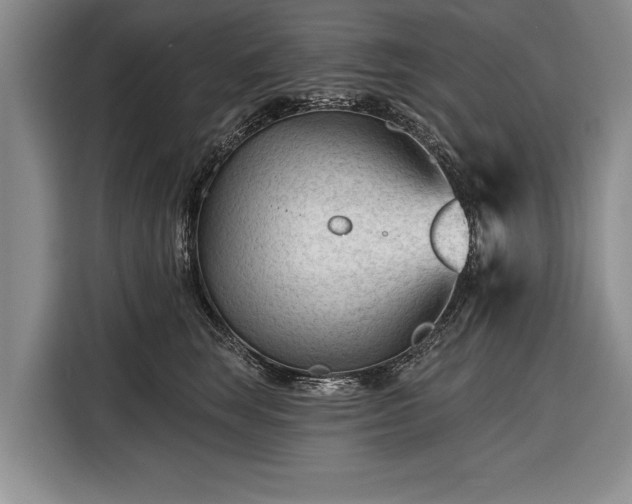 X0000116340663200912091111