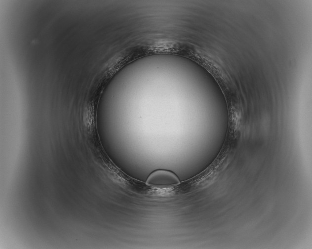 X0000116340665200912091111