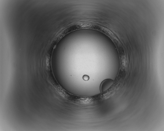 X0000116340667200912091111