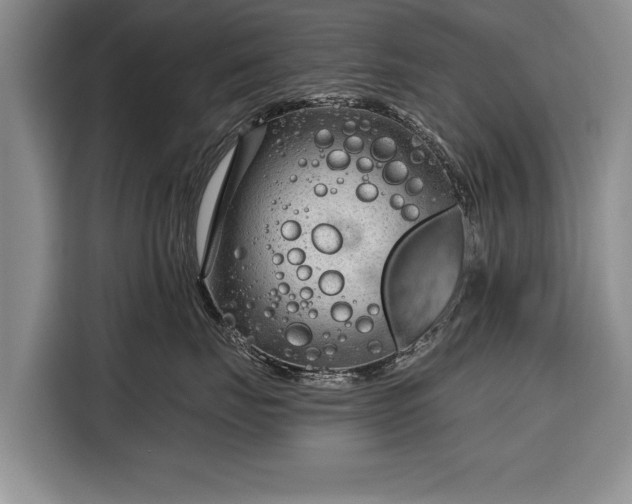 X0000116340671200912091111