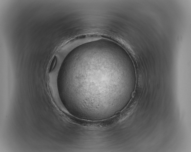 X0000116340673200912091110