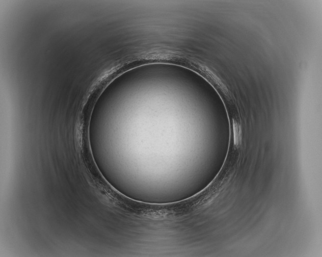 X0000116340675200912091110