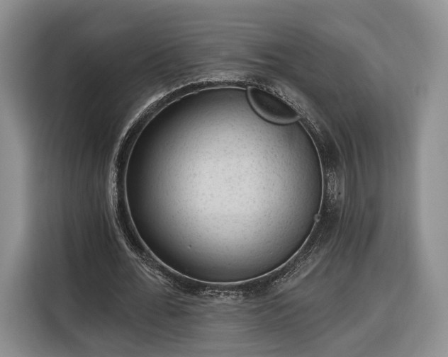 X0000116340676200912091110