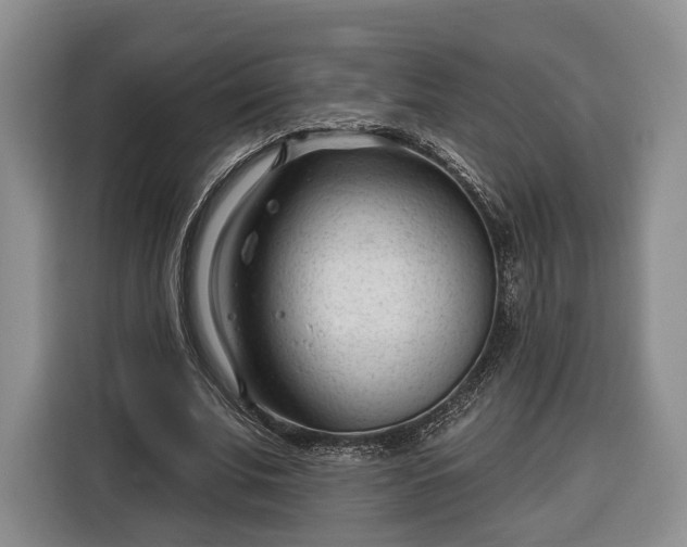 X0000116340679200912091110