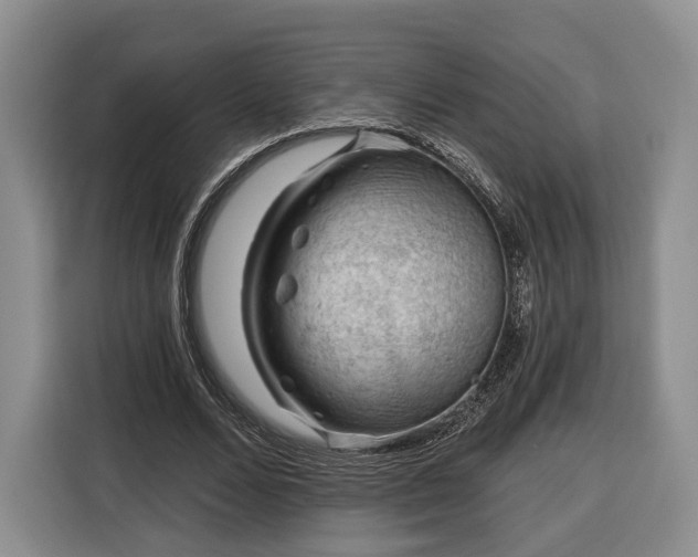 X0000116340680200912091110