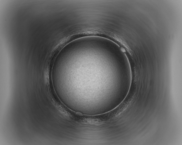 X0000116340681200912091110