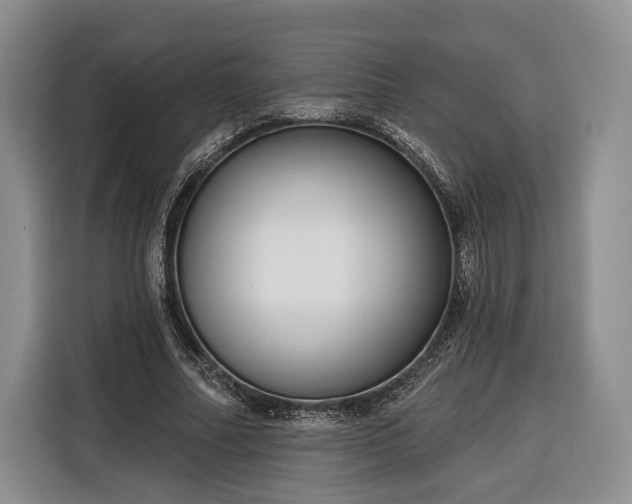 X0000116340682200912091110