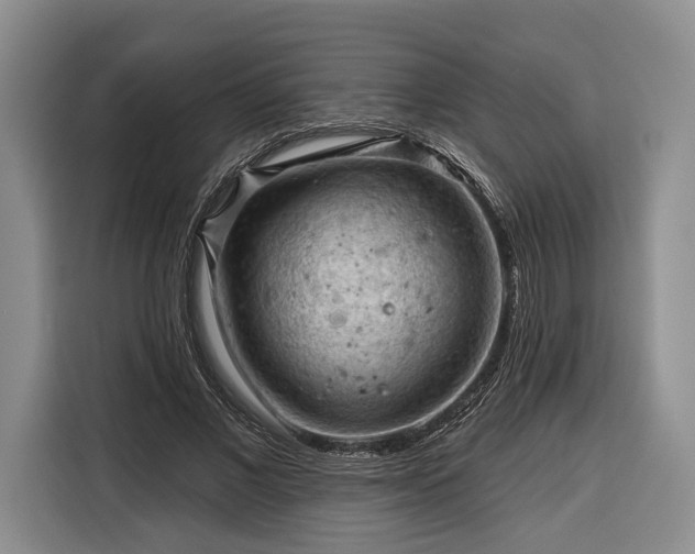 X0000116340685200912091110