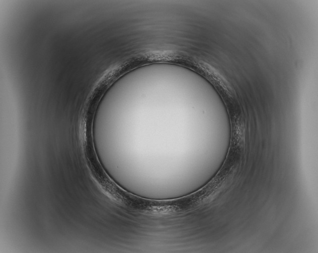 X0000116340686200912091110