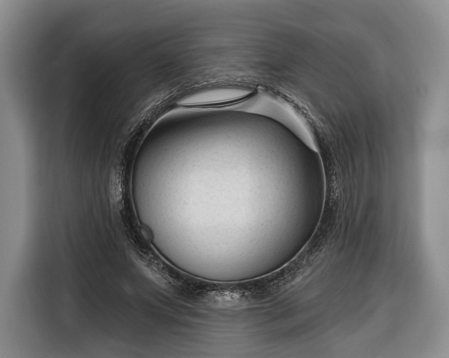 X0000116340687200912091110